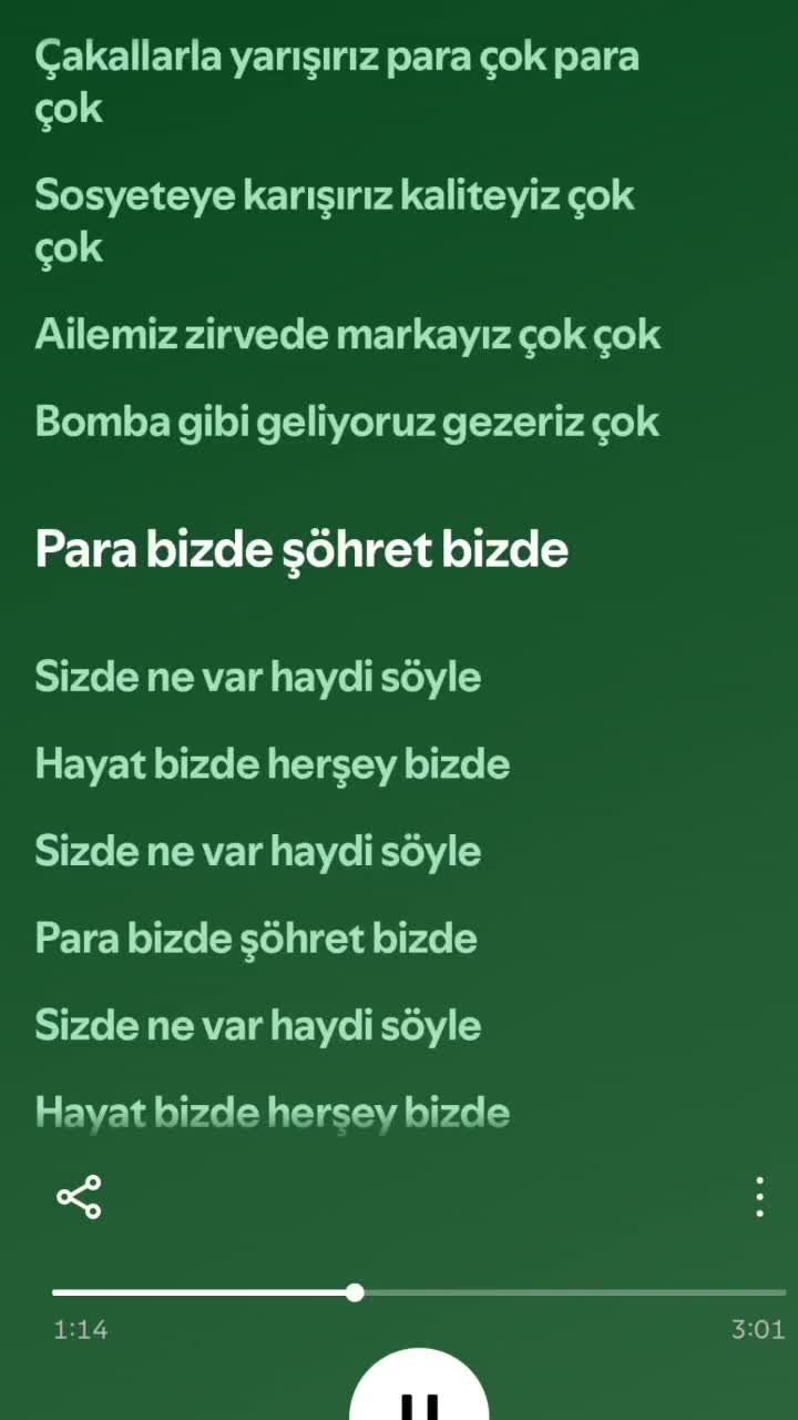 Elifcan K.