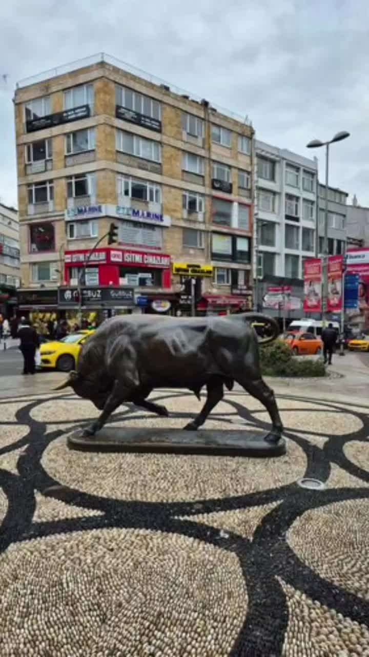 Elifcan K.