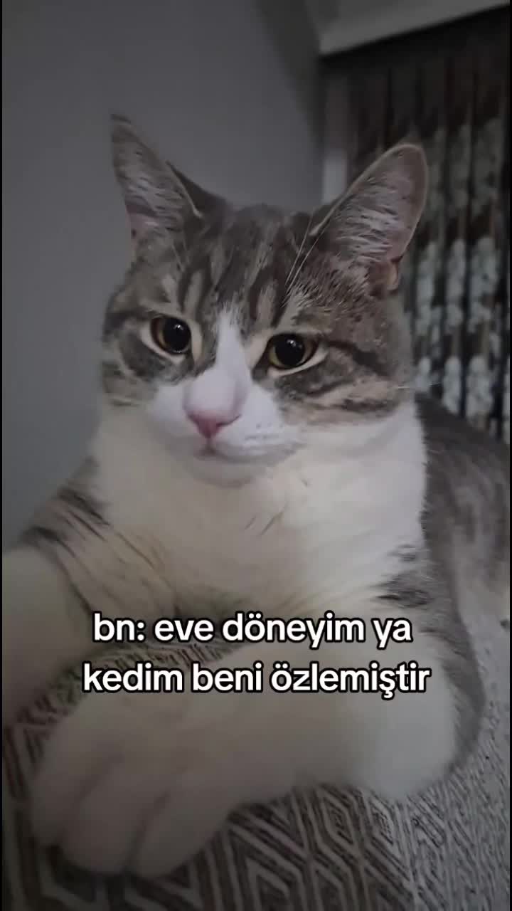 videoyu çektikten sonra beni patiledi bu arada