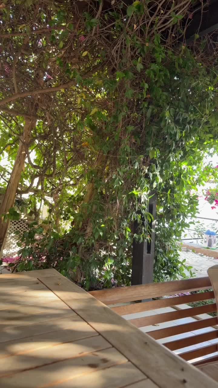 Aybegüm Karakuş