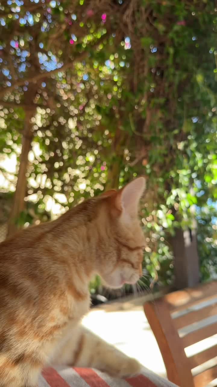 Aybegüm Karakuş