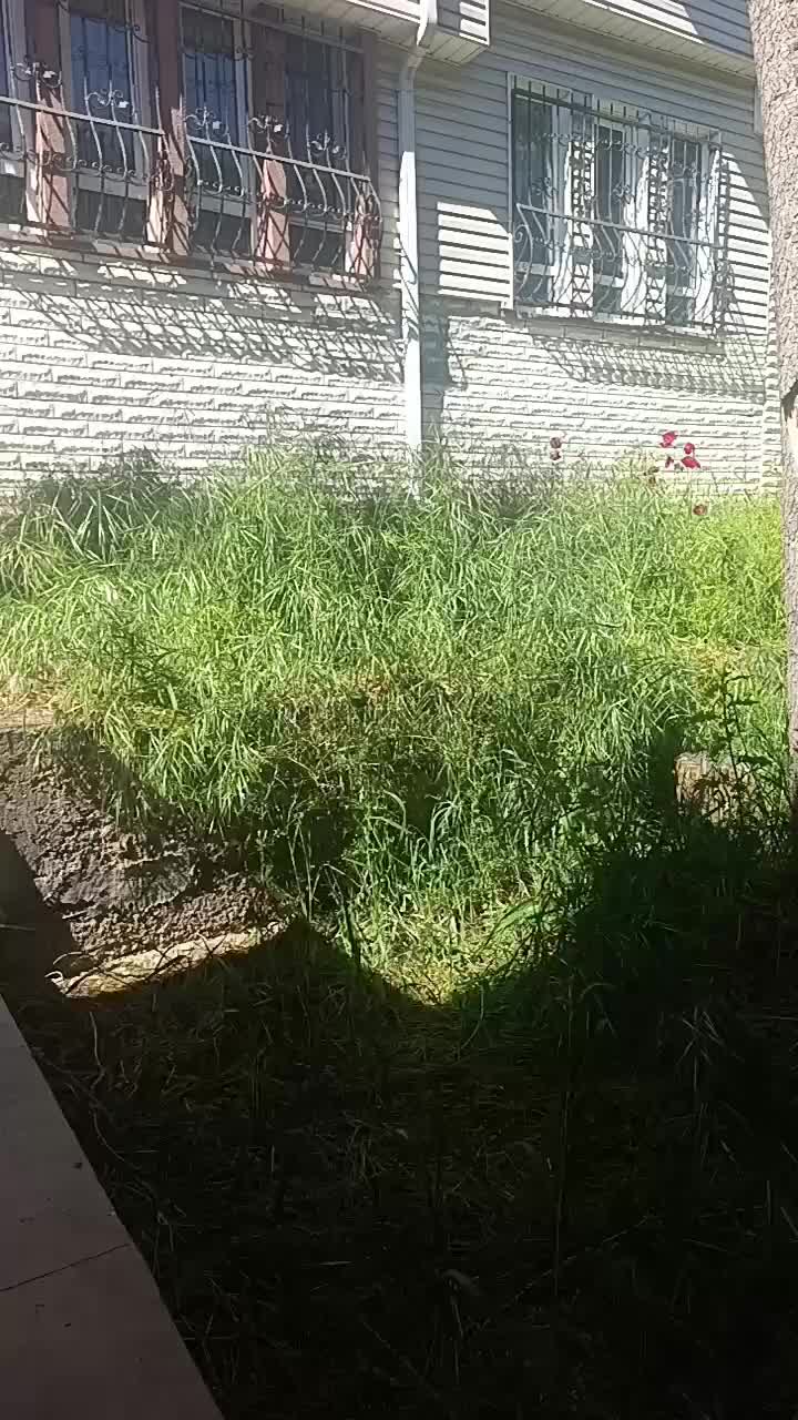 Madem diye başlayıp...