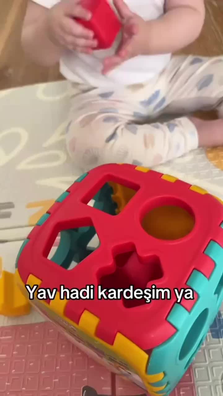 E. Tuna Budak