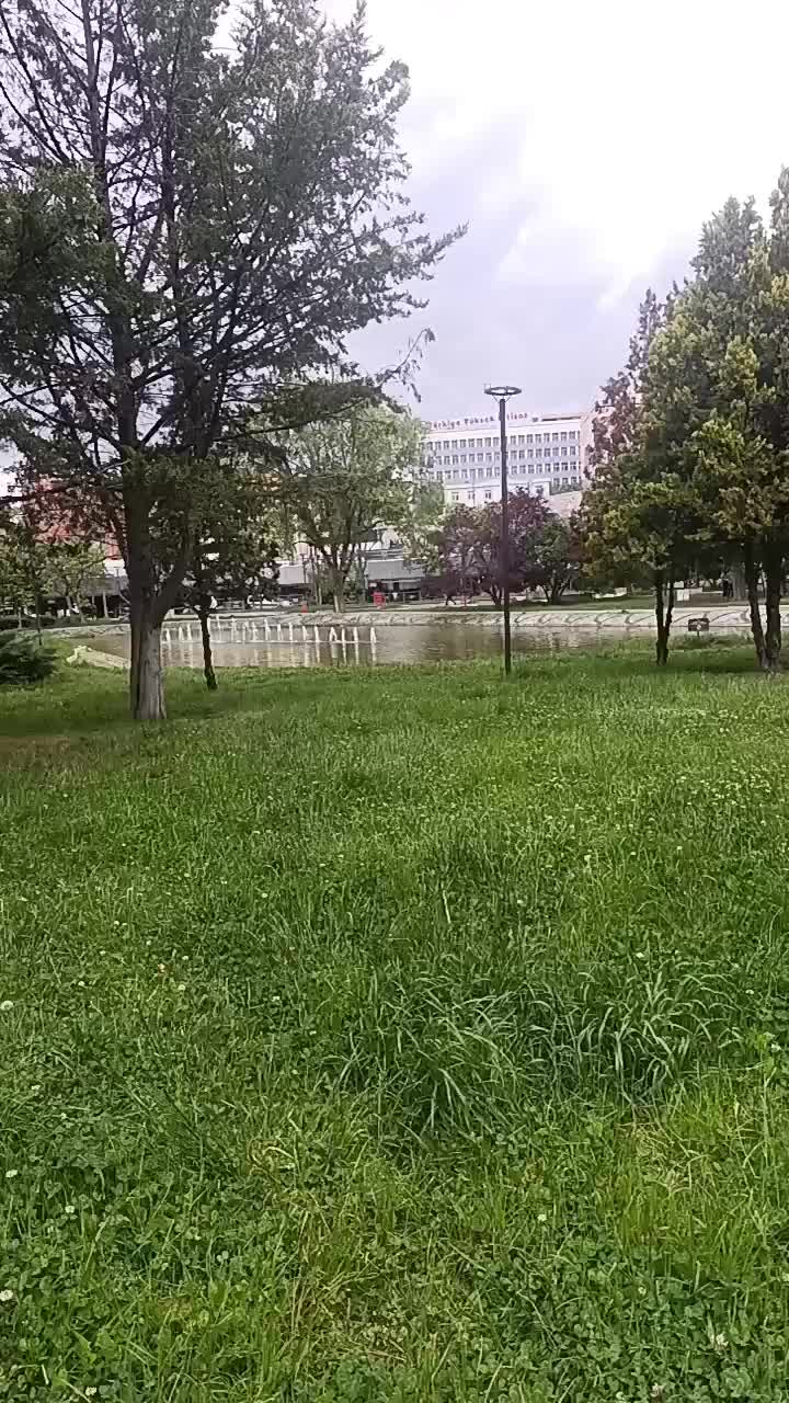 hknkrkc