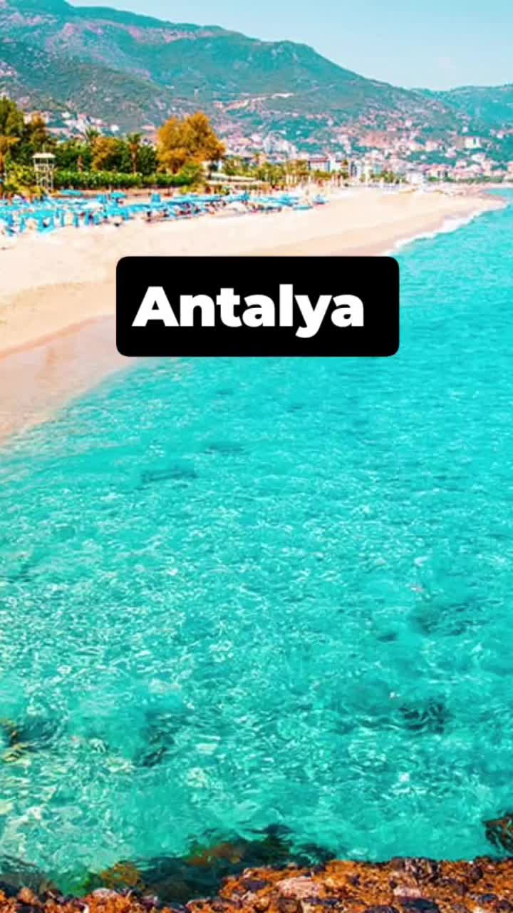 Elifcan K.