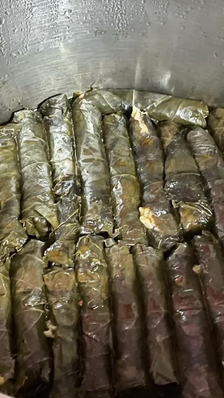 E. Tuna Budak