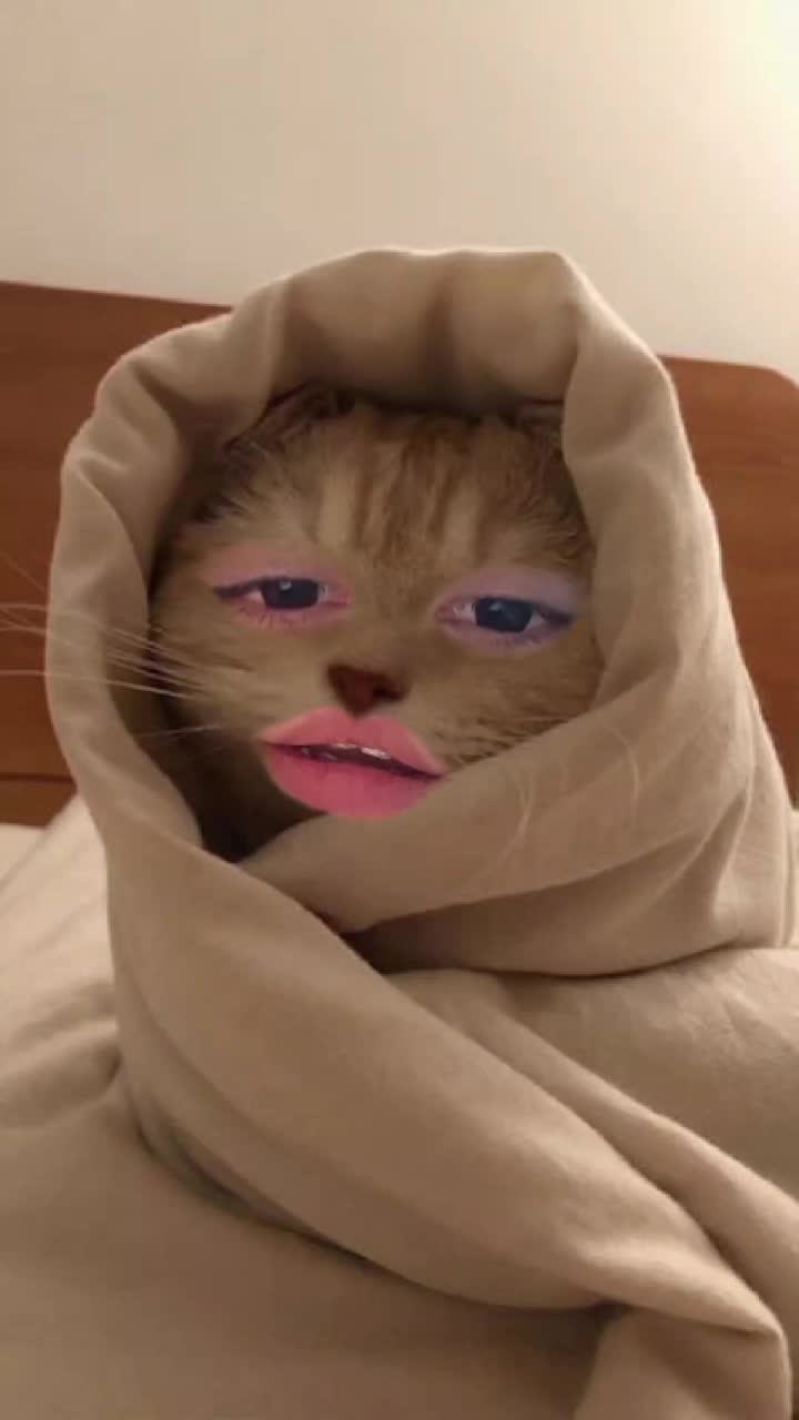 kız kadar sercanı da konusmamız lazım ama neyyyysee