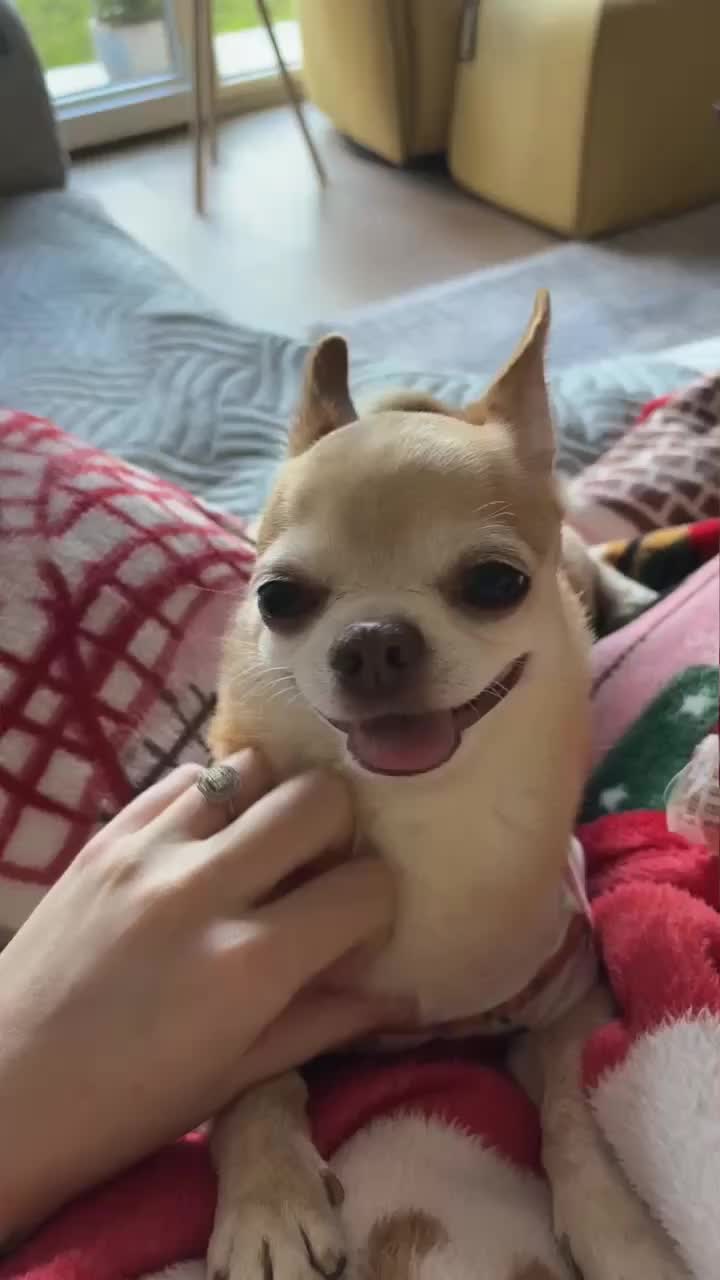 🚀