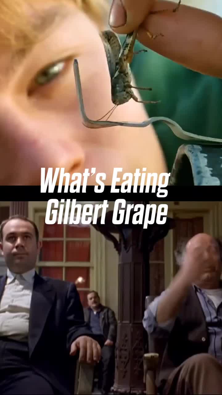 What's Eating Gilbert Grape - Hala izlemediyseniz çok şey kaçırıyorsunuz.
