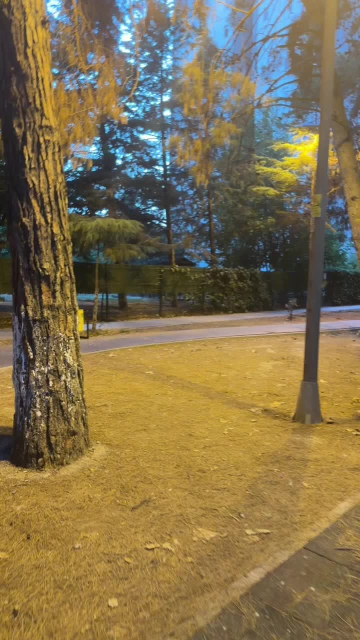 Aybegüm Karakuş