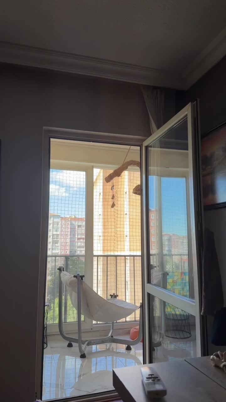 Aybegüm Karakuş