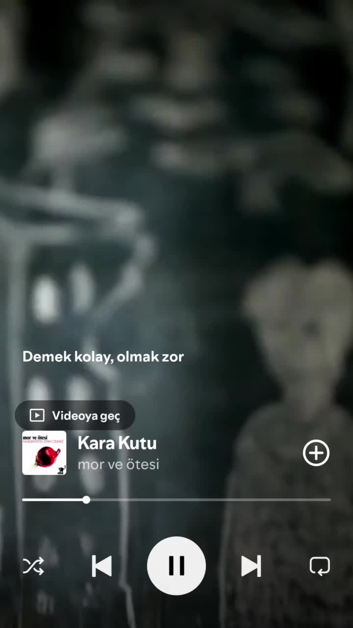 elifcank